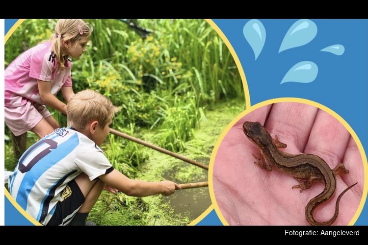 Ontdek de natuur — midden in Zwolle!