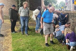 Stadswandeling: Natuur binnen de stadsgrachten