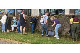 Stadswandeling: Natuur binnen de stadsgrachten