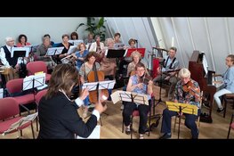 Huismuziek Zwolle doet jaarlijks concert in Theodorakapel