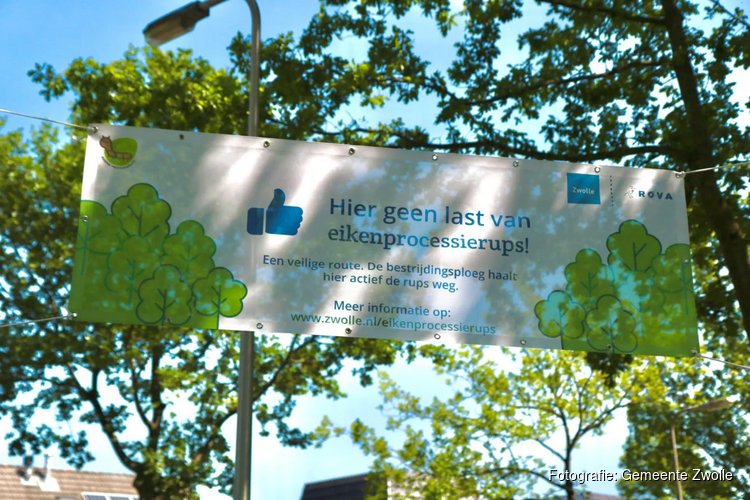 Bestrijding eikenprocessierups in Zwolle gestart voor jeukvrije halve marathon