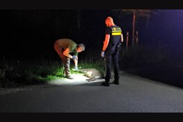 Motorrijder gewond na aanrijding met wild zwijn in Hattemerbroek