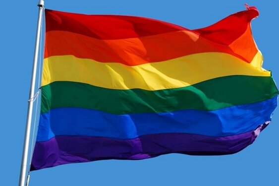 Regenboogvlaggen gestolen in Oldebroek, politie zoekt getuigen