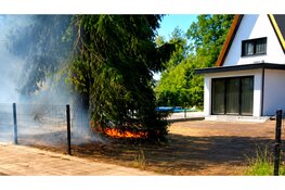 Boom in brand aan Spoorlaan in Wezep, buurtbewoners voorkomen erger