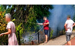 Boom in brand aan Spoorlaan in Wezep, buurtbewoners voorkomen erger