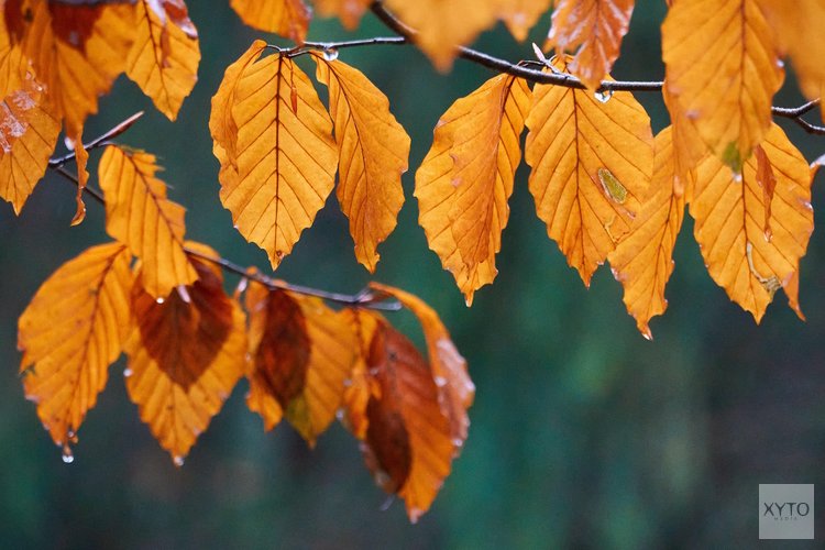 Laatste weekend van augustus zeer wisselvallig: verkoeling zet door met start meteorologische herfst