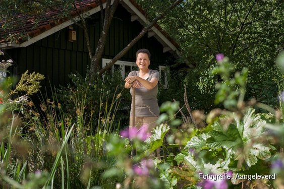 Overijssel zoekt nieuwe GroenMakers die willen werken aan natuurlijke oplossingen in hun buurt