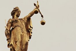Gevangenisstraf van 36 maanden voor aanranding en schennispleging in twee binnenspeeltuinen