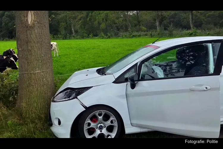 Auto botst tegen boom aan Vollenhofsweg in Wezep