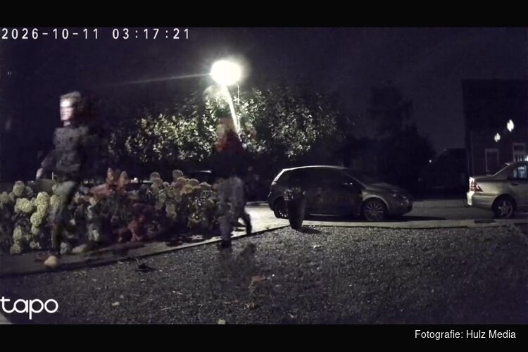Politie zoekt getuigen na diefstal van regenboogvlaggen in Oldebroek en Oosterwolde