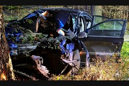 Drie gewonden na forse botsing tegen boom